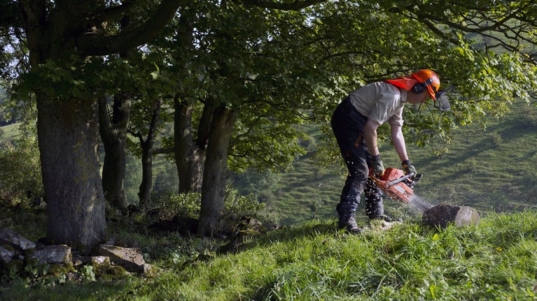 A ranger uses a chainsaw to saw wood in the White Peak Estate, Derbyshire